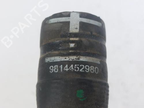 Pipe CITROËN C3 III (SX) 1.2 PureTech 82 | BP17762481M125