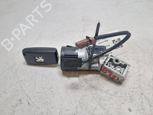 Used Electronic module Electronic module PEUGEOT 3008 I MPV (0U_) 1.6 HDi (109 hp) 40255586 40255586