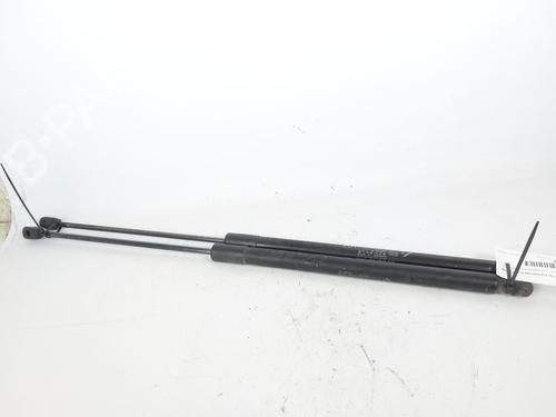 Used Tailgate lift support FIAT TIPO Hatchback (356_, 357_) 1.3 D (356HXH1A) (95 hp) 19091814