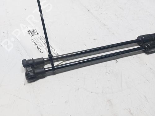 Tailgate lift support NISSAN JUKE (F16_) 1.6 Hybrid | BP30802655C138