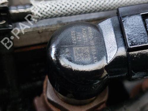 Engine FORD FOCUS C-MAX (DM2) 1.8 TDCi | BP31272772M1 