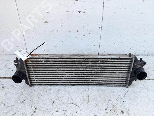 Used Intercooler Intercooler NISSAN PRIMASTAR Bus (X83) dCi 100 (101 hp) 34119244 34119244