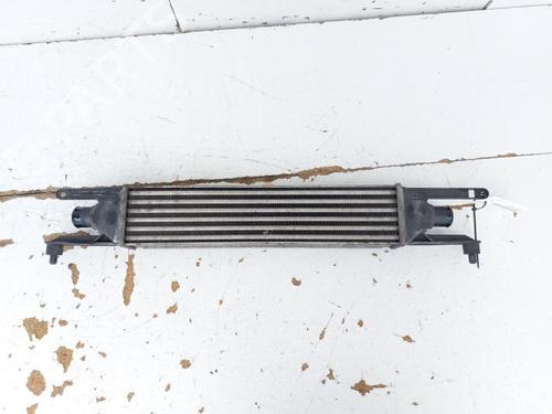 Intercooler FIAT PUNTO EVO (199_) 1.3 D Multijet (199AXD1B, 199AXD1A, 199BXD1B, 199BXD1A,... (90 hp) 27923503