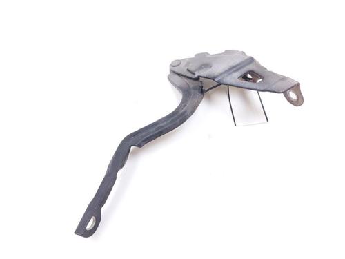 Hinge/Door check strap HYUNDAI i20 II (GB, IB) 1.1 CRDi | BP27648440C146