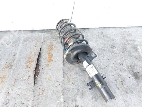 right-front-shock-absorber-citroen-c3-ii-sc_-2009-33194893 main image