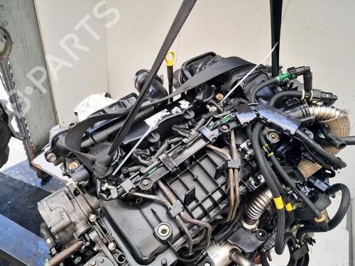 Engine FORD FOCUS C-MAX (DM2) 1.6 TDCi | BP38505353M1  - Image 8