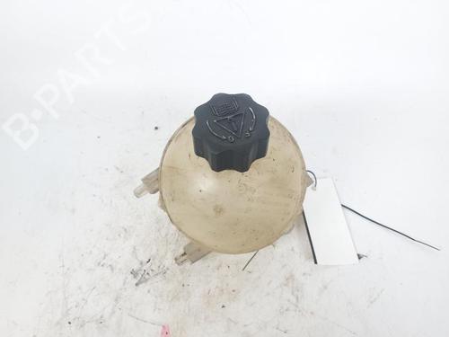 Used Expansion tank PEUGEOT 3008 I MPV (0U_) 1.6 HDi (109 hp) 17207155