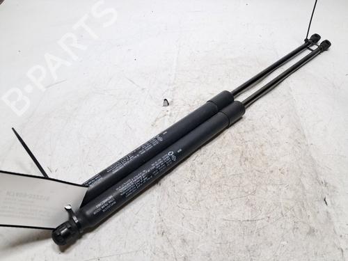 tailgate-lift-support-renault-arkana-i-lcm_-ldn_-2019-34617750 main image