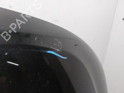 Hood DACIA DUSTER (HS_) 1.5 dCi | BP30802425C1