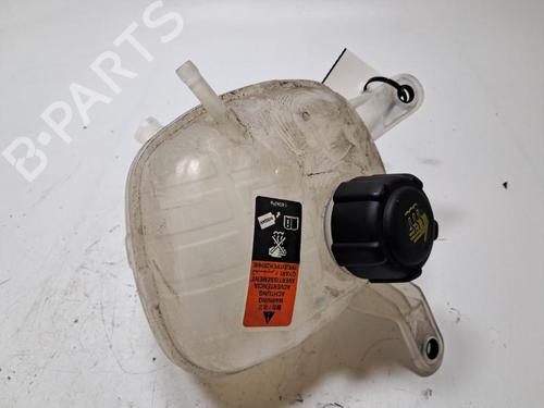 Ekspansjonstank NISSAN QASHQAI III (J12) 1.3 DIG-T (140 hp) 33196239