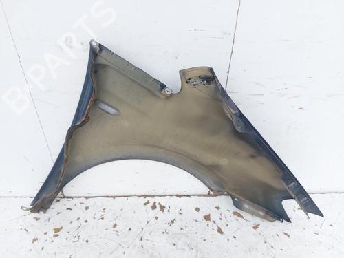 Left front fenders LANCIA MUSA (350_) 1.3 D Multijet (350.AXG11, 350.AXG1A) | BP29350124C41 