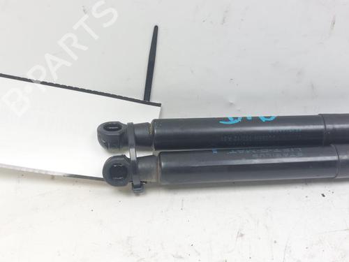 Other RENAULT SCÉNIC III (JZ0/1_) 1.6 dCi (JZ00, JZ12) | BP29523063O1 
