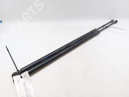 tailgate-lift-support-ford-kuga-ii-dm2-2012-26516641 main image
