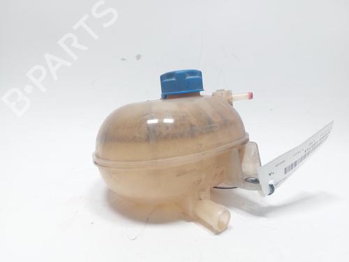 Used Expansion tank FIAT 500 (312_) 1.3 D Multijet (312AXB1A) (75 hp) 30453886