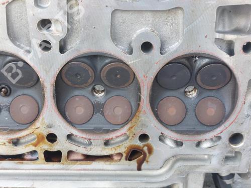 Cylinder head VW GOLF VIII (CD1, DA1) 1.0 TSI | BP23881577M5 