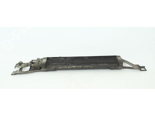 Elektronisk modul MERCEDES-BENZ A-CLASS (W169) A 180 CDI (169.007, 169.307) (109 hp) 17980289