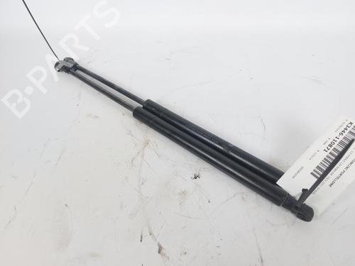 Used Tailgate lift support FIAT PANDA (312_, 319_) 1.0 Mild Hybrid (312.PYD1B) (69 hp) 19445029