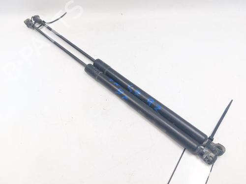 Tailgate lift support DACIA LODGY (JS_) 1.5 dCi | BP29519420C138 