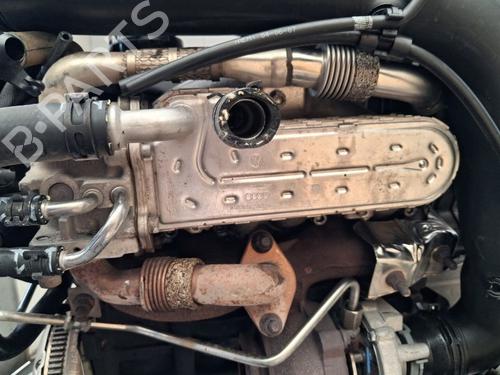 Engine SEAT LEON (1P1) 1.9 TDI | BP38718171M1 - Image 7