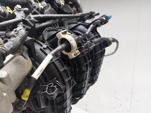Engine FIAT PANDA VAN (312_, 519_) 1.0 Mild Hybrid (312PYD1B) | BP37019757M1 - Image 6