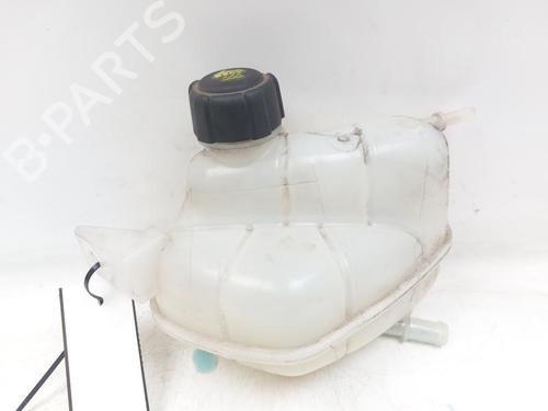 Expansion tank NISSAN QASHQAI II (J11, J11_) 1.3 DIG-T | BP29584000C120 