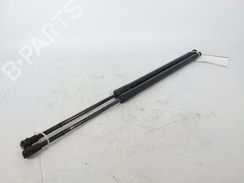 Tailgate lift support BMW X5 (E53) 3.0 d | BP15173219C138 