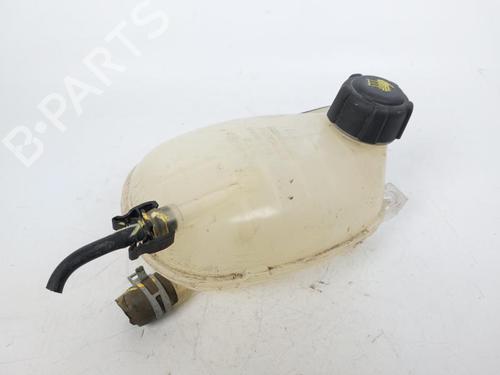 Vase D'Expansion DACIA JOGGER (RK_) 1.0 TCe 100 ECO-G (RKMT) (101 hp) 16207670
