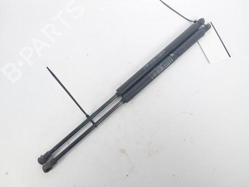 Tailgate lift support FIAT 500 (312_) 1.2 (312AXA1A) | BP23881779C138 