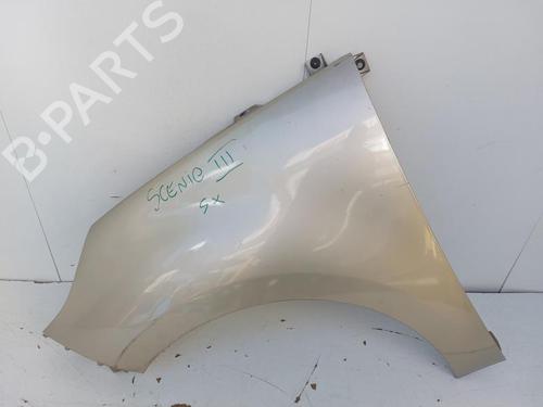 Used Left front fenders RENAULT SCÉNIC III (JZ0/1_) 1.5 dCi (110 hp) 15176422