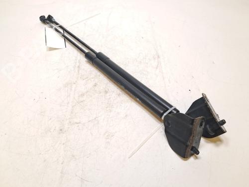 tailgate-lift-support-ds-ds-3-ds-3-crossback-ur_-uc_-uj_-2018-36694311 main image