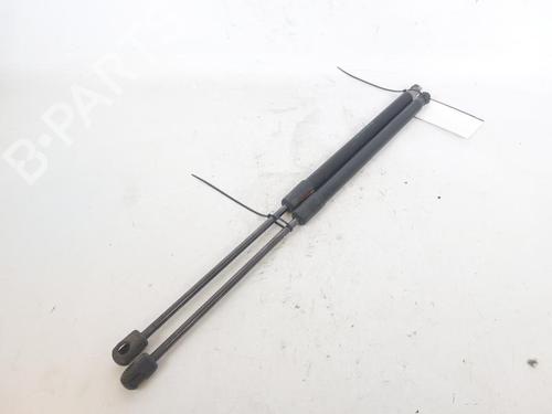Tailgate lift support SKODA FABIA II (542) 1.2 | BP17695590C138 