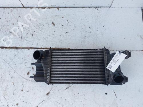 Used Intercooler Intercooler NISSAN JUKE (F15) 1.5 dCi (110 hp) 33457094 33457094