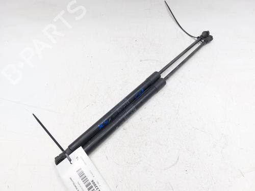 tailgate-lift-support-fiat-500e-332_-2020-27537065 main image