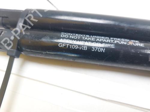 Tailgate lift support FIAT DOBLO MPV (119_, 223_) 1.9 JTD | BP29519503C138 