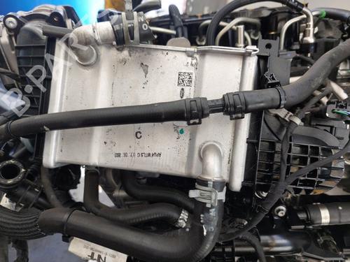 Engine FORD FOCUS IV Turnier (HP) 1.5 EcoBlue | BP37513530M1 - Image 8