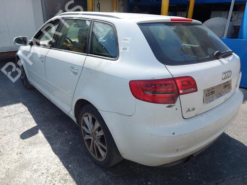 Højre bagtil støddæmper AUDI A3 (8P1) 1.6 TDI | BP29050427M19 