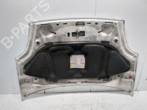 Hood FIAT GRANDE PUNTO (199_) 1.4 T-Jet (199AXM1A, 199BXM1A, 199BXN1A) | BP30801755C1