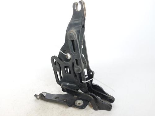 Hinge/Door check strap BMW X5 (E70) xDrive 30 d | BP15173771C146 