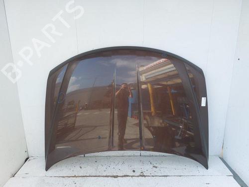 Used Hood Hood FIAT FREEMONT (345_) 2.0 JTD (170 hp) 34417998 34417998