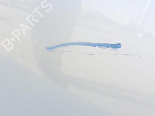Left rear door RENAULT MEGANE III Hatchback (BZ0/1_, B3_) 1.5 dCi (BZ0C) | BP20132588C4 