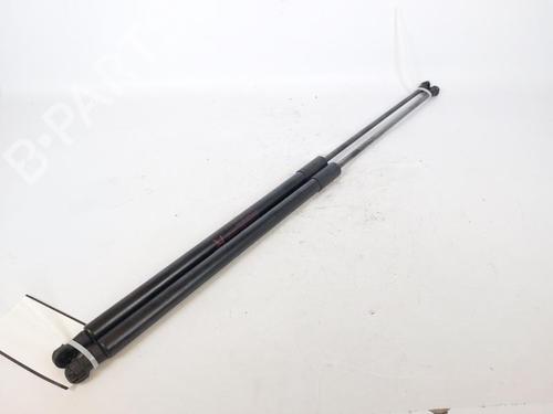 Used Tailgate lift support NISSAN JUKE (F15) 1.5 dCi (110 hp) 15176101