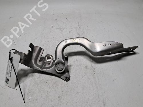 hingedoor-check-strap-renault-captur-i-j5_-h5_-2013-31011134 main image