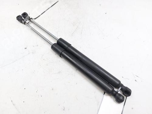 Tailgate lift support PEUGEOT 2008 I (CU_) 1.4 HDi | BP25732601C138 
