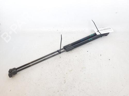 Tailgate lift support SKODA YETI (5L) 2.0 TDI | BP18152472C138 