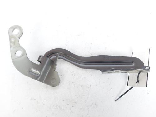Hinge/Door check strap FORD TOURNEO COURIER B460 MPV 1.5 TDCi | BP22251243C146 