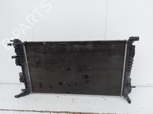 Used Water radiator RENAULT SCÉNIC III (JZ0/1_) 1.5 dCi (110 hp) 15173818