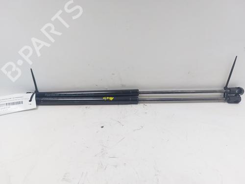 Gassdemper Bakluke FORD C-MAX (DM2) 1.8 TDCi | BP29500842C138 