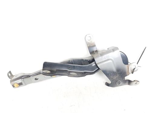 Used Hinge/Door check strap RENAULT CLIO IV (BH_) 1.5 dCi 90 (90 hp) 23416833