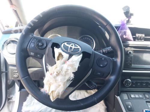 Cable TOYOTA AURIS Estate (_E18_) 1.8 Hybrid (ZWE186_, ZWE186R, ZWE186H) | BP25732721E12 