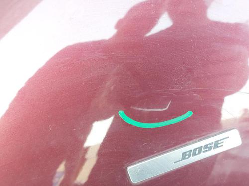 Left front fenders RENAULT SCÉNIC III (JZ0/1_) 1.6 dCi (JZ00, JZ12) | BP29523054C41 